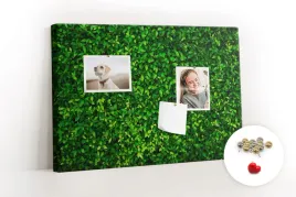 tablica-canvas-na-notatki-zywoplot-liscie