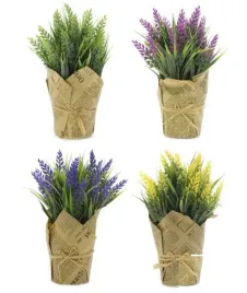 wrzos-w-doniczce-0808k