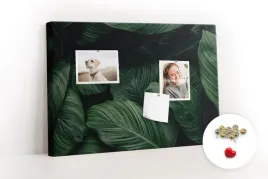 tablica-pinezki-do-korka-tropikalna-monstera