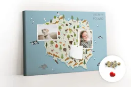 ozdobna-tablica-na-notatki-mapa-zwierzat