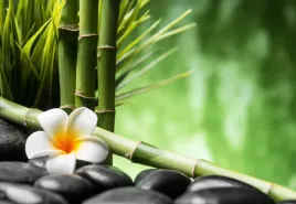 tapeta-flizelinowa-frangipani-bambus-152x104