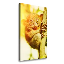 foto-obraz-na-plotnie-wyrak-upiorny-50x100-cm