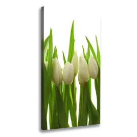 foto-obraz-na-plotnie-biale-tulipany-50x100-cm