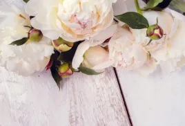 tapeta-flizelinowa-biale-peonie-104x70