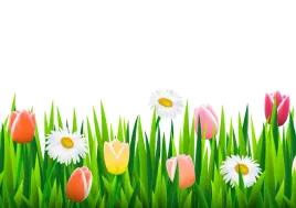 tapeta-flizelinowa-tulipany-trawa-208x146