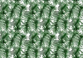 tapeta-flizelinowa-tropikalna-monstera-208x146