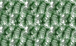tapeta-flizelinowa-tropikalna-monstera-416x254