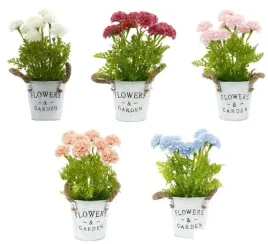 kwiatki-w-doniczce-flowers-and-garden-12x27cm