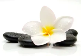 tapeta-flizelinowa-plumeria-kamienie-152x104