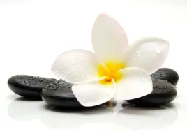 tapeta-flizelinowa-plumeria-kamienie-312x219