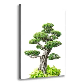foto-obraz-na-plotnie-drzewo-bonsai-70x100-cm