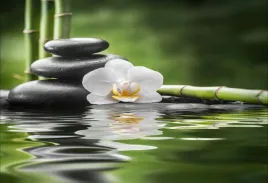 tapeta-flizelinowa-orchidea-i-zen-104x70