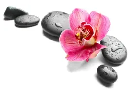 tapeta-flizelinowa-orchidea-kamienie-152x104