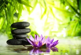 tapeta-flizelinowa-lotos-i-kamien-zen-104x70