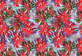 tapeta-flizelinowa-monstera-dziurawa-104x70