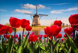 tapeta-flizelinowa-holandia-wiatraki-152x104