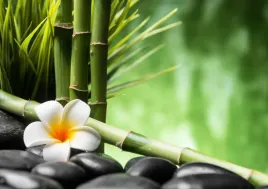 tapeta-flizelinowa-frangipani-bambus-312x219