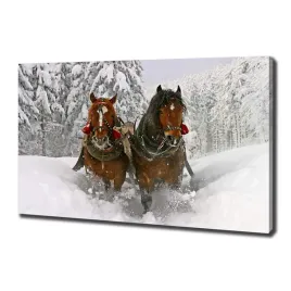 foto-obraz-ze-zdjecia-do-salonu-kulig-100x70-cm