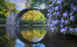 fototapeta-flizelinowa-rododendrony-416x254