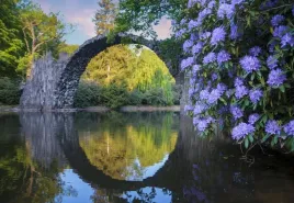 fototapeta-flizelinowa-rododendrony-152x104