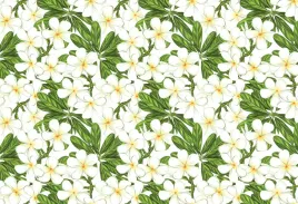 fototapeta-flizelinowa-plumeria-kwiaty-104x70