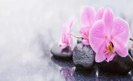 fototapeta-flizelinowa-orchidea-kamienie-416x254