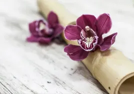 fototapeta-flizelinowa-orchidei-drewno-312x219