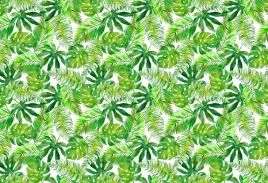 fototapeta-flizelinowa-monstera-palma-104x70