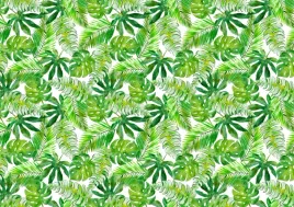 fototapeta-flizelinowa-monstera-palma-312x219