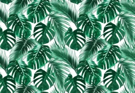 fototapeta-flizelinowa-monstera-dziurawa-152x104