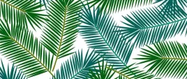fototapeta-flizelinowa-liscie-palmowe-250x104