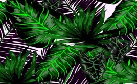 fototapeta-flizelinowa-liscie-monstera-416x254