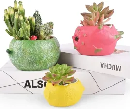 dekoracyjne-doniczki-z-gipsu-na-sukulenty