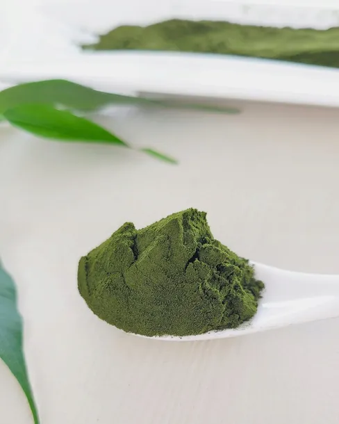 chlorella-proszek-100-g-suplement-diety-marka-green-essence