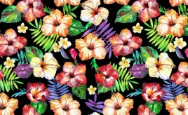 fototapeta-flizelinowa-kwiaty-hibiskus-416x254