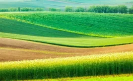 fototapeta-flizelinowa-krajobraz-wiejski-416x254