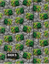 teczka-z-gumka-a4-szkolna-dla-dzieci-a4-backup-8-a-78-minecraft
