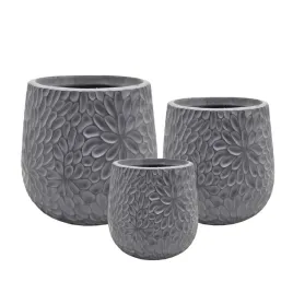 zestaw-donic-zewnetrznych-ashora-3-szt