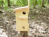 budka-dla-wiewiorki-glebokosc-produktu-25-cm-stan-nowy
