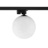 profile-snowball-11298-nowodvorski