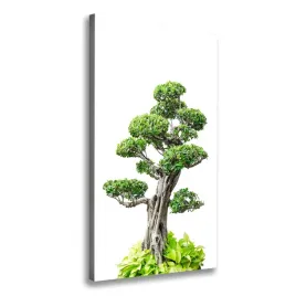 foto-obraz-na-plotnie-drzewo-bonsai-50x100-cm