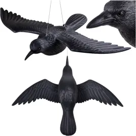 kruk-w-locie-na-balkon-taras-latajacy-odstraszacz-golebi-ptakow-szpakow