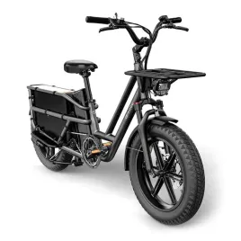 rower-elektryczny-cargo-fiido-t2-2025-20-fatbike-grey