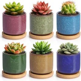 ceramiczne-doniczki-na-sukulenty-z-podstawka-kolorowe-zestaw-6-szt