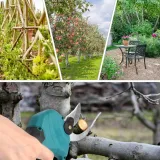 akumulatorowe-nozyce-do-galezi-stan-powystawowy-zasilanie-elektryczne-akumulatorowe