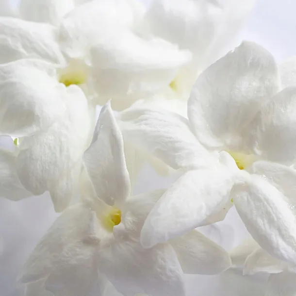 yodeyma-iris-eau-de-parfum-dla-kobiet-50-ml-marka-yodeyma