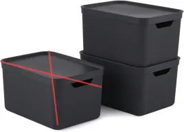 rotho-pudelka-do-przechowywania-2-szt-16l