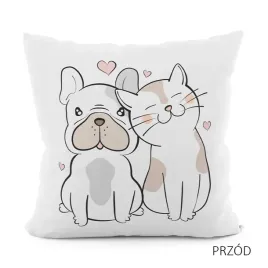 przyjaciele-poszewka-velvet-40x40cm