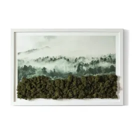 obraz-mech-chrobotek-prezent-las-we-mgle-60x40