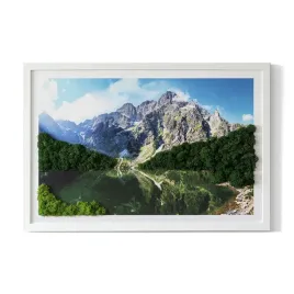 obraz-z-mchem-prezent-tatry-morskie-oko-60x40